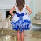 Exclusive white-blue ruffle cloud skirt elegant party dress with rich satin white bodice for girls Back side view
