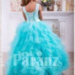Soft and elegant floor length cloud tulle skirt gown with lacework rich bodice back side view