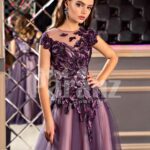 Women’s fairy princess appliquéd bodice purple gown with floor length tulle skirt