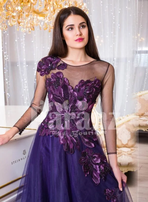 Women’s sheer full sleeve evening party gown with floor length tulle skirt